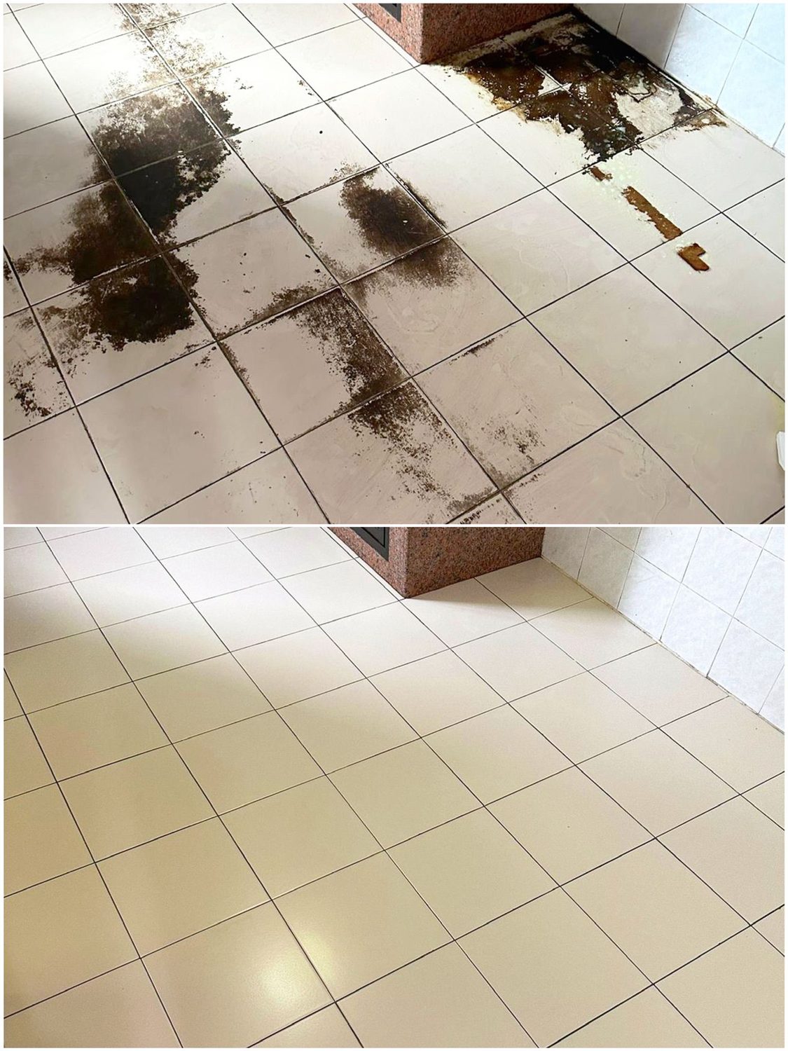 Grout and tile stain removal