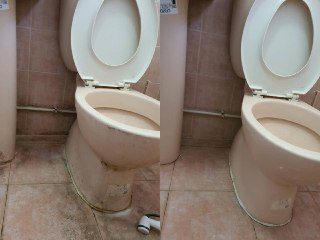 Toilet and bathroom cleaning guide